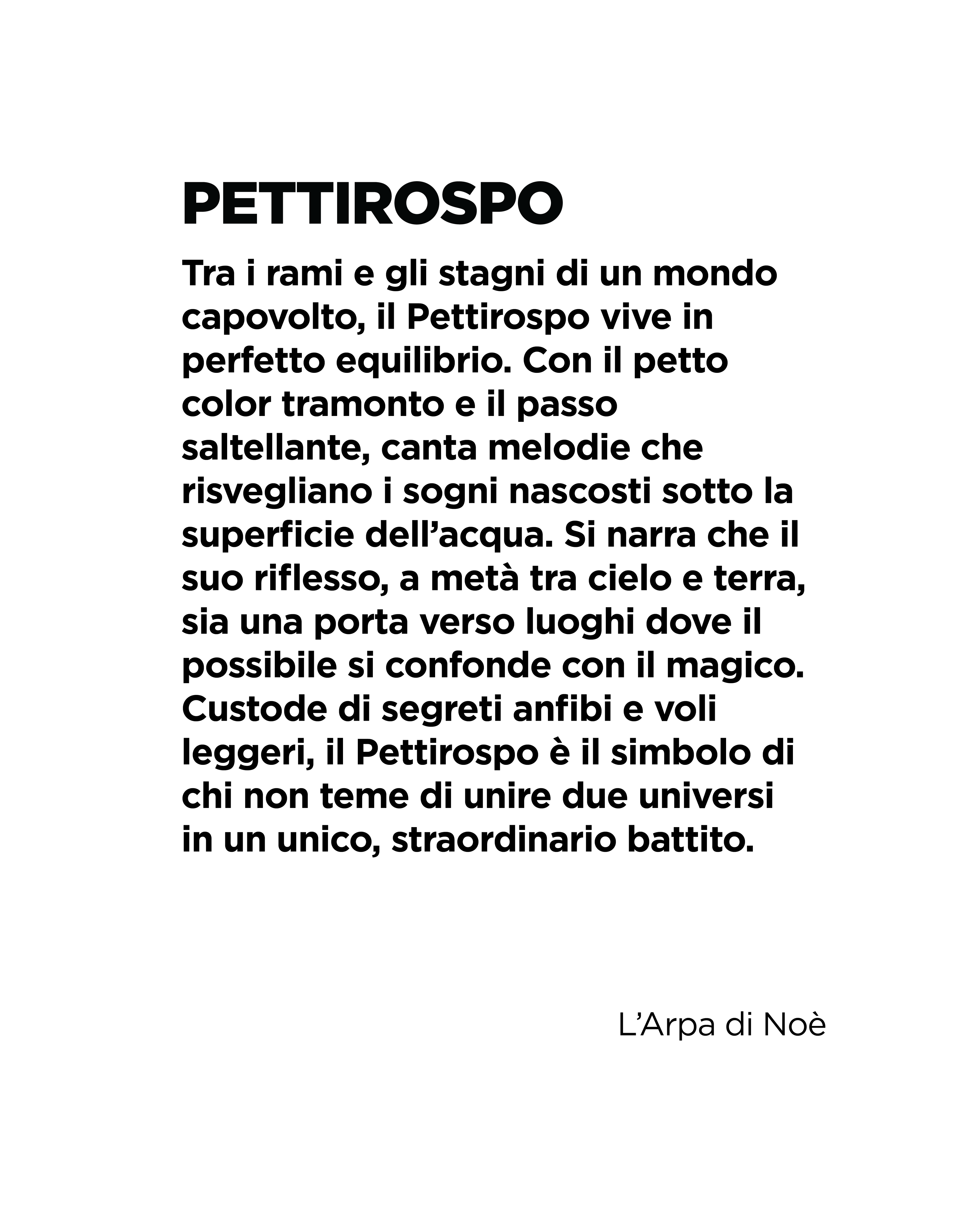 Pettirospo